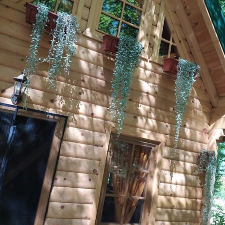 Brvnara Fairy Tale Villa Cetinje Bagian luar foto