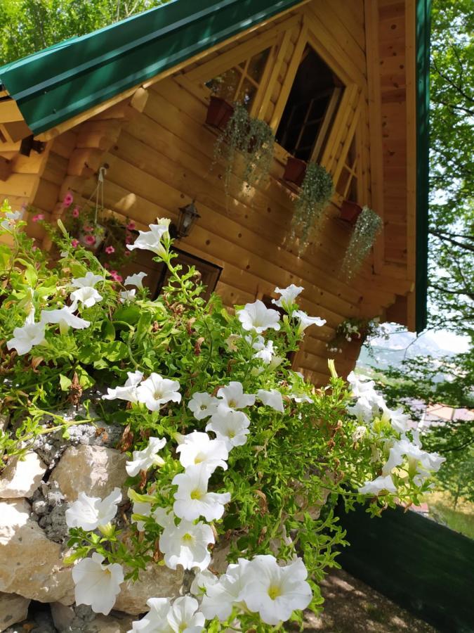 Brvnara Fairy Tale Villa Cetinje Bagian luar foto
