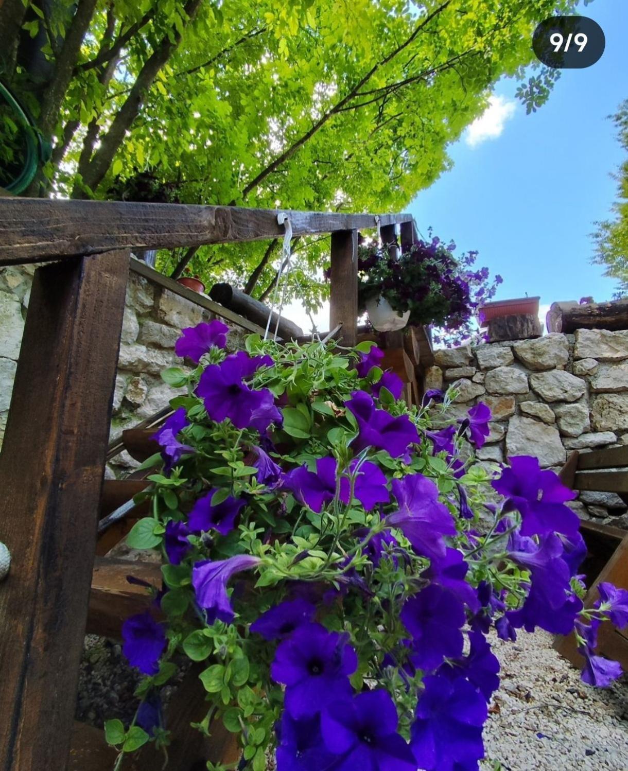 Brvnara Fairy Tale Villa Cetinje Bagian luar foto
