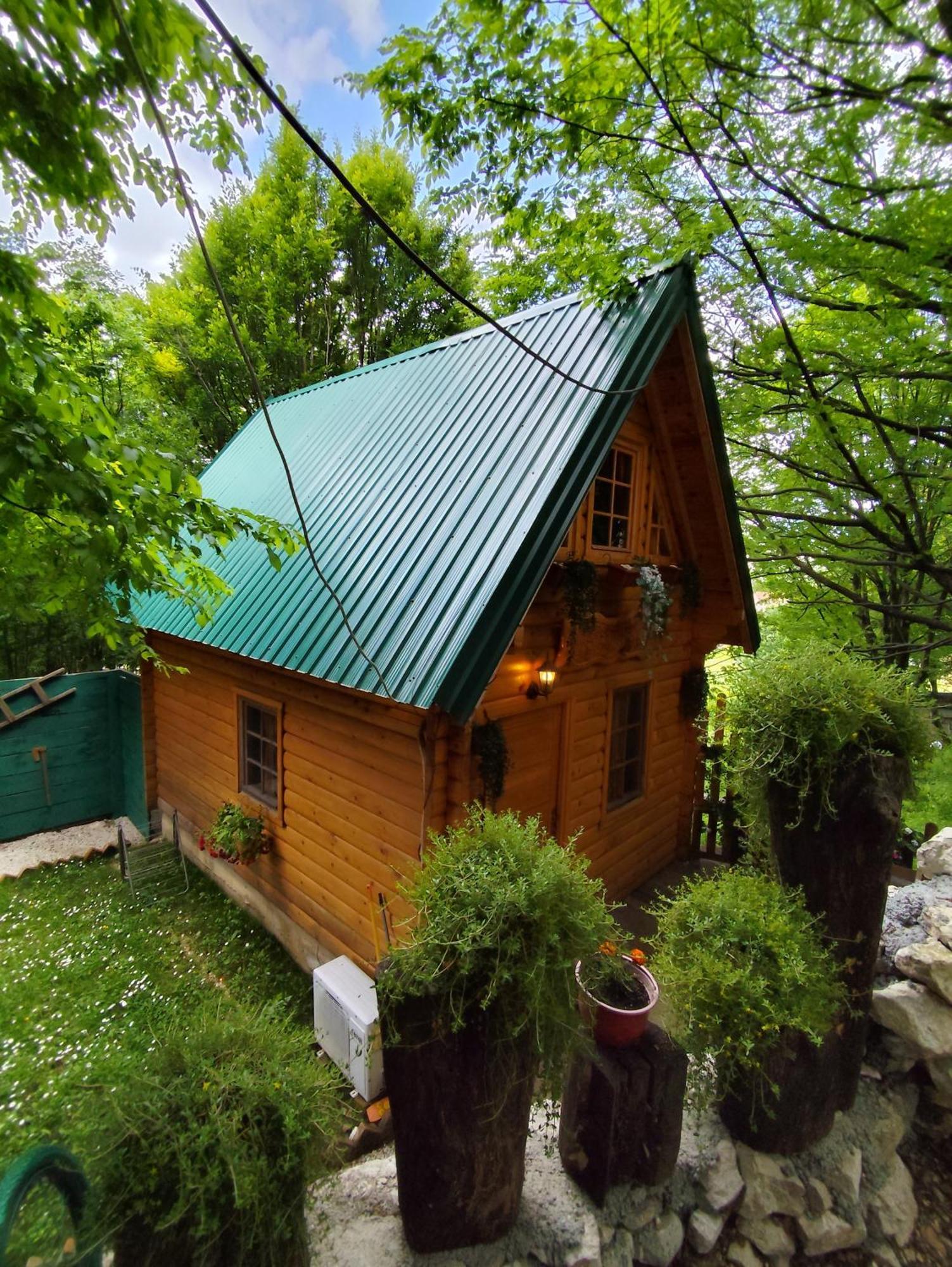 Brvnara Fairy Tale Villa Cetinje Bagian luar foto